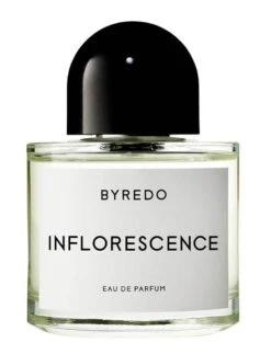 BYREDO Inflorescence