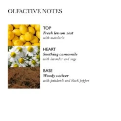 Molton Brown Hydrating Conditioner With Camomile -Fenty Beauty molton brown hydrating conditioner with camomile 2