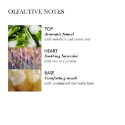 Molton Brown Repairing Conditioner With Fennel -Fenty Beauty molton brown repairing conditioner with fennel 2